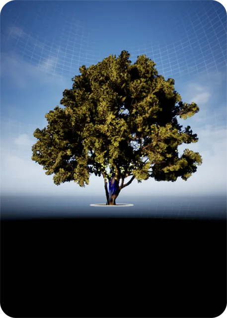 TreeLifve